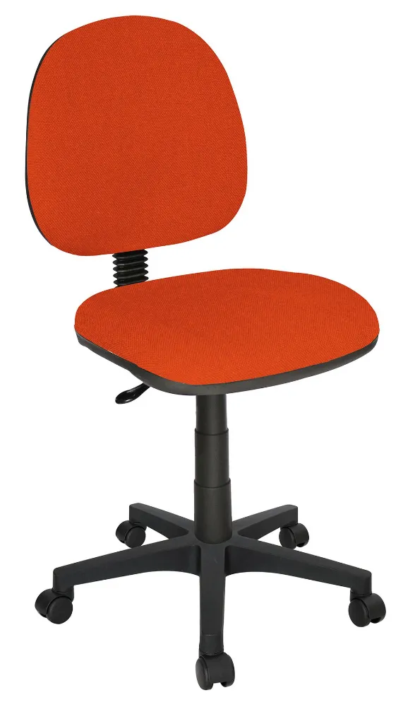 OHS-10zapote.webp