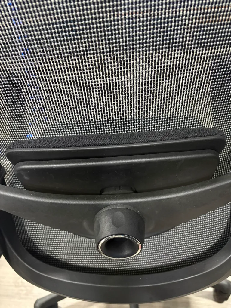 werkflex cogin lumbar.webp