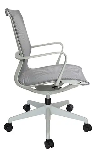 OHE-113grislateral.webp